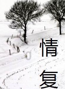 寻找遗失的光盘